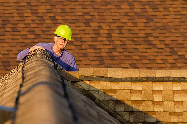 Best Roof Gutter Cleaning  in Orangetree, FL