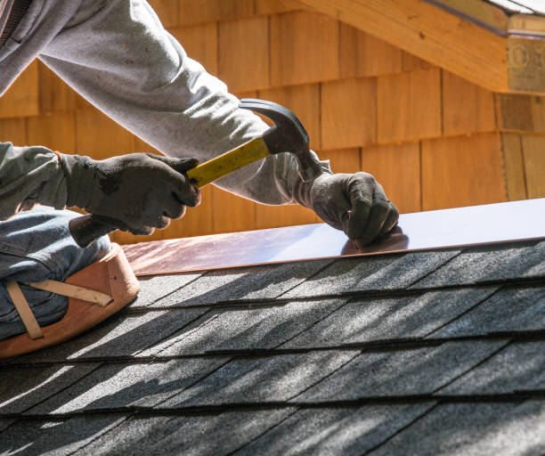 Best Shingle Roofing Installation  in Orangetree, FL